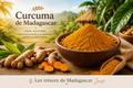 Curcuma poudre