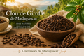 Clou de Girofle de Madagascar